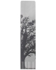 Gift sets Tree GS102tr