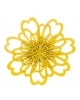 Gift sets Daisy GSJ1da15