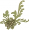 Ring Daisy R203