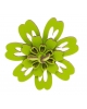 Ring Daisy R76