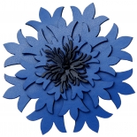 Cornflower