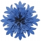 Brooch Cornflower B902