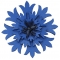 Brooch Cornflower B903