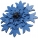 Cornflower