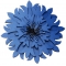 Ring Cornflower R901