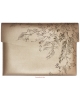 Document case Birch DC15 (31,5x22,5cm)