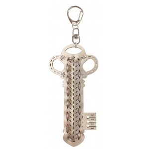 Keyrings  Key CD80kr