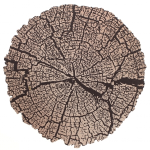 Table Mat/ Coaster Wood TM75 (10-40cm)