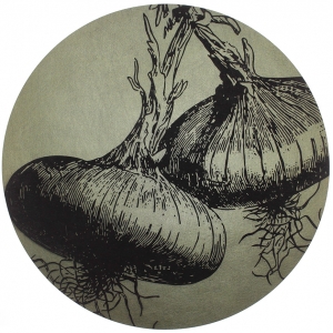 Table Mat/Coaster Onions TM238 (10-40cm)