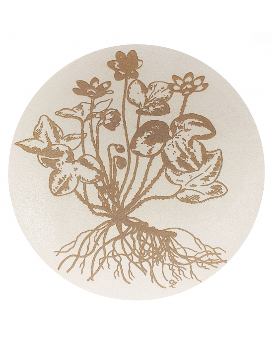 Table Mat/ Coaster Spring flowers TM383(10cm-40cm)