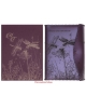 Notebook Dragonflies NB70 (16x22cm)