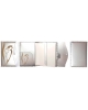 Gift sets Woodpecker GS79wp1