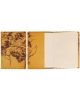 Notebook Pumpkins NB81 (11x17cm)