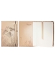Notebook Dragonflies NB72 (15x22cm)