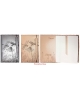 Notebook Dragonflies NB72 (15x22cm)