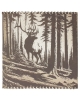 Gift sets Deer GS211de