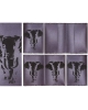 Passport cover Elephant PC138