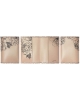 Passport cover Peony PC101