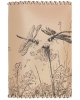 Gift sets Dragonfly GS5dr