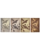 Passport cover Goose PC14