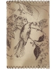 Gift sets Birds family GS1bf