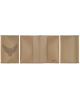 Passport cover Owl PC59