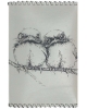 Gift sets Two birds GS1bi
