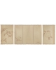 Passport cover Turtles PC95