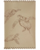 Passport cover Turtles PC95