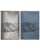 Passport cover Fish PC54