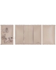 Passport cover Ligo Daisy PC39b