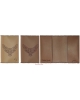 Passport cover Owl PC59