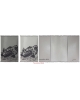 Passport cover Motorcycle PC76