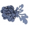 Ring Flower R225