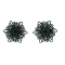 Earrings Lace E316