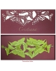 Bracelet Butterflies A1002