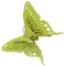 Ring Butterflies R1001