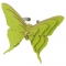 Ring Butterflies R1003