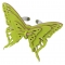 Ring Butterflies R1002