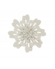 Brooch Teeth B47