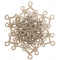 Brooch Iceflower B185