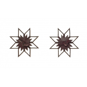 Earrings LV E309