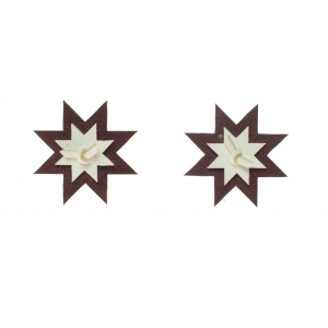 Earrings LV E337