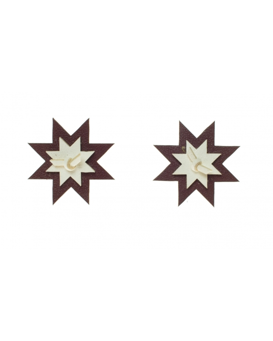 Earrings LV E337