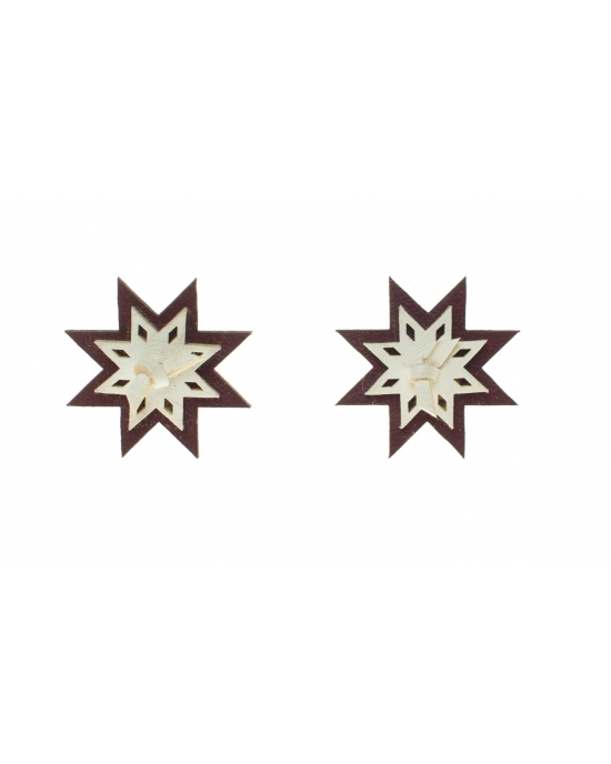 Earrings LV E338