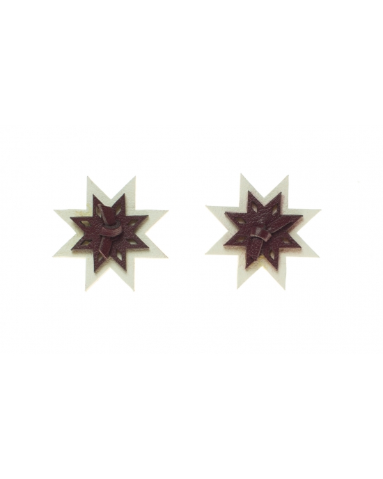 Earrings LV E339