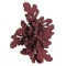 Ring Leaves R218