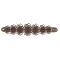 Bracelet Cabbage A68