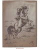 A4 Paper holder Horse PH2