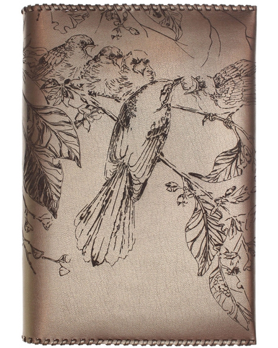 Book cover Birds family BC3a